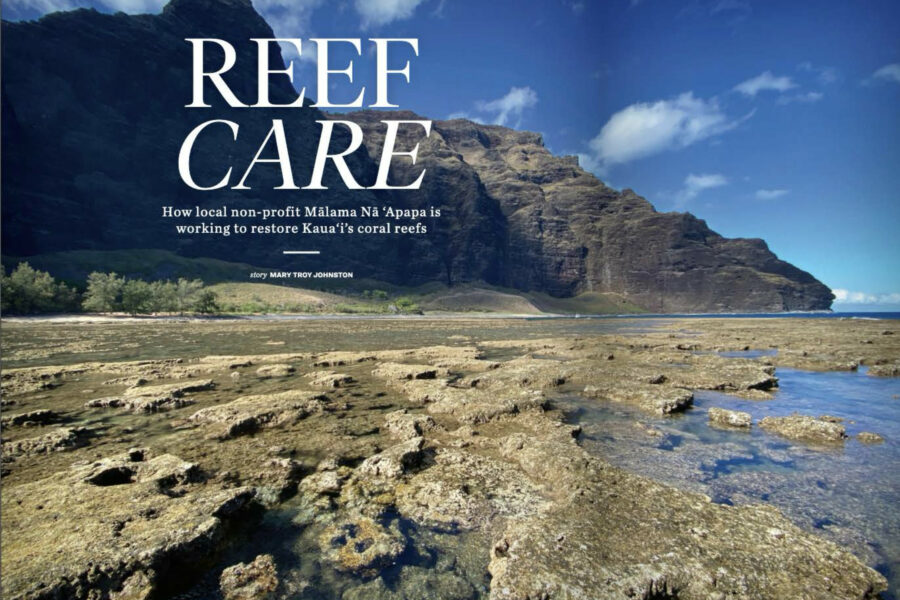 Article named Reef Care with image of coral reef