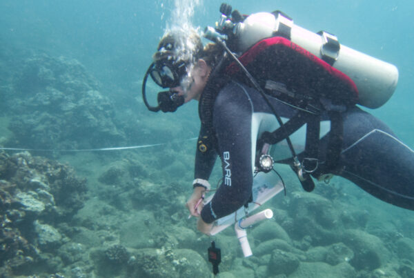 Diver with clipboard underwater