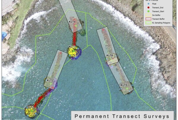 Overview image of Kōloa Landing. Shows coral survey locations and the resulting images.