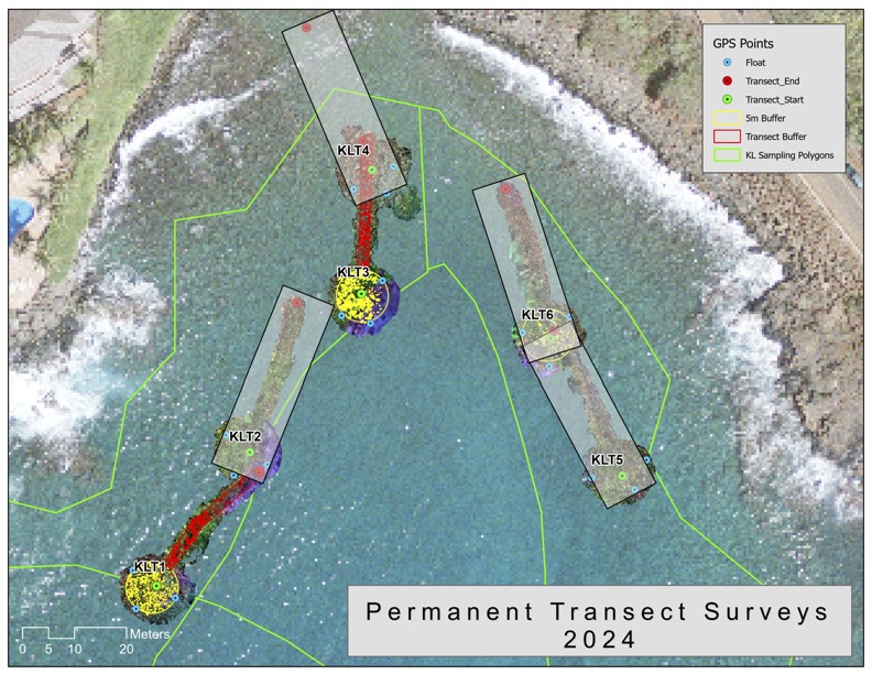 Overview image of Kōloa Landing. Shows coral survey locations and the resulting images.