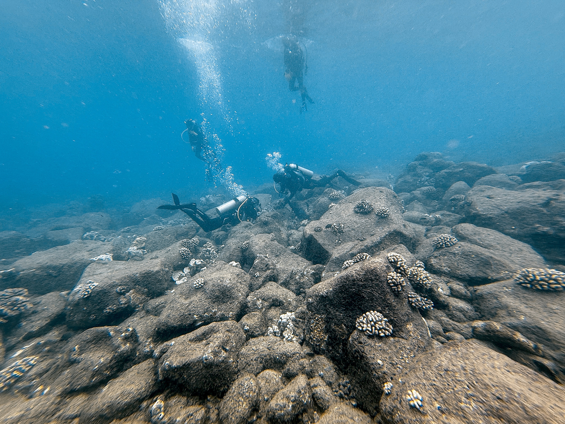 Four divers working under water with coral formations in the area. Bubbles rising.
